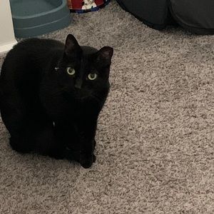 Meet your Posher, Dee